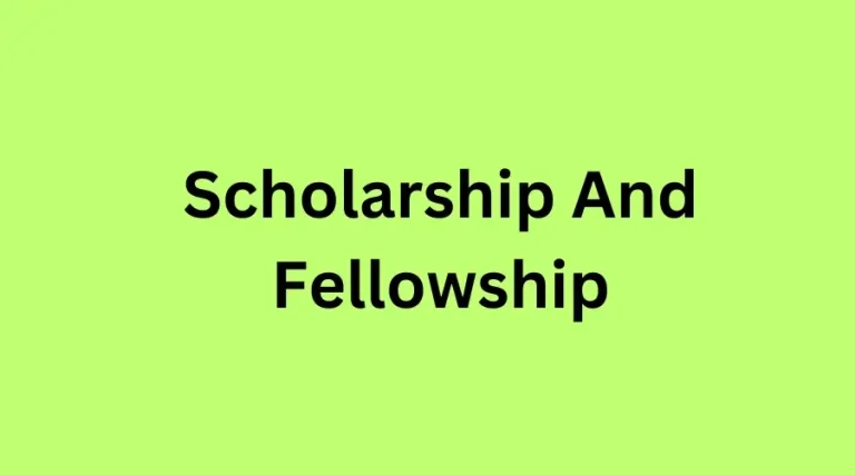What is the Difference between a Scholarship And a Fellowship